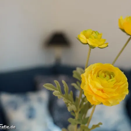 Fortuna Gaestehaus App Ruegen *